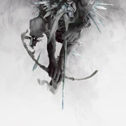 Standard cover