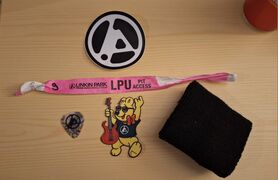 Wristband & Accessories