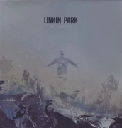 Vinyl cover
