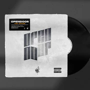 Vinyl[19]