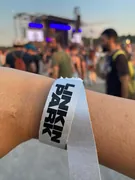 Wristband